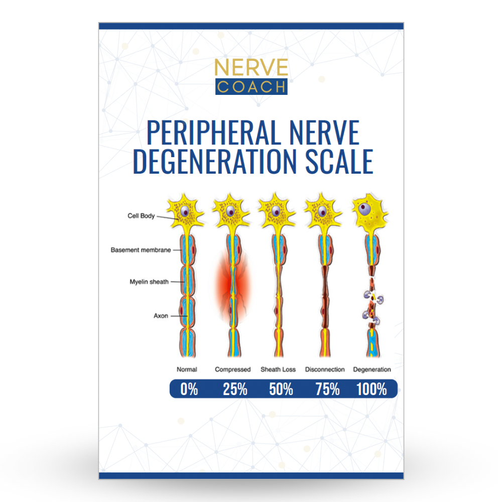 peripheral-nerve-degeneration-scale-nervecoach